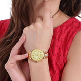 MONTRE Michael Kors Pour Femme MK3881